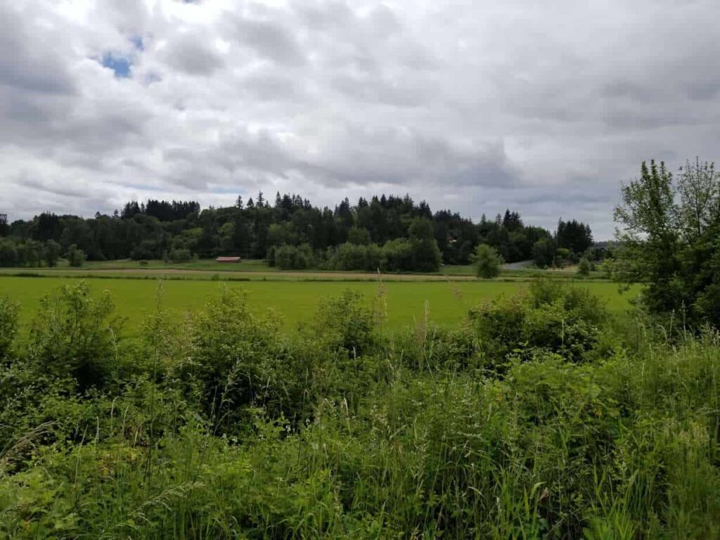 Beautiful view of the Willapa Hills Trail countryside