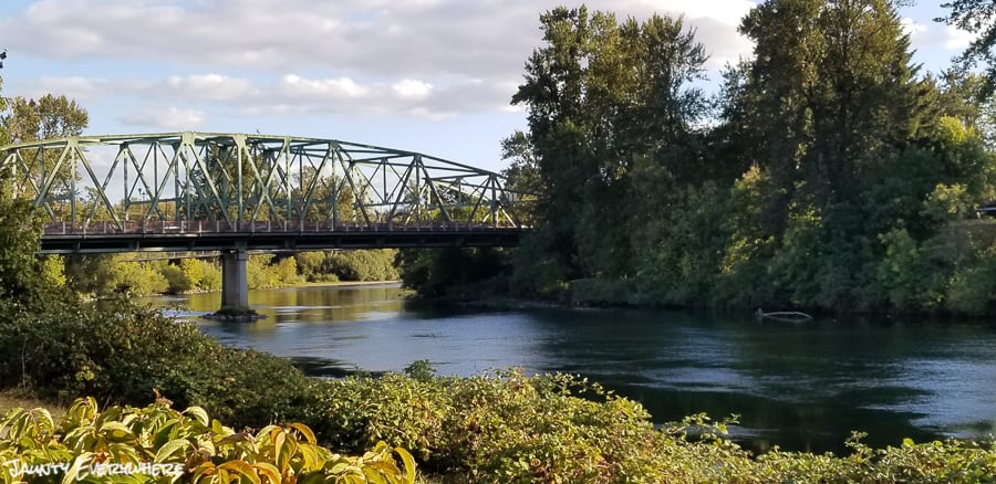 bridge over the Willamette River. Eugene, OR