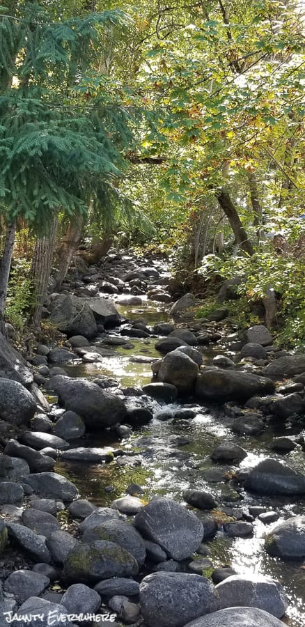 Lithia Creek in Ashland, OR