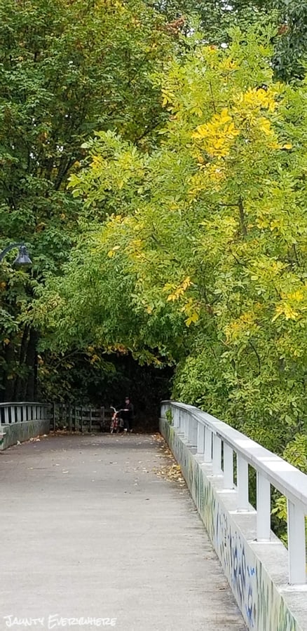 Bike trail in Alton Baker Park, Eugene, OR. Man on bike coming out from under tree cover.