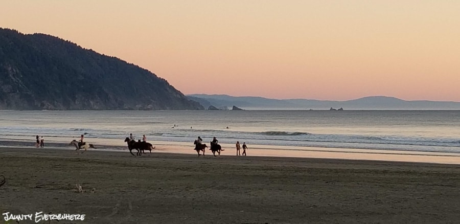 Redwood National Forests, Crescent City California, Crescent Beach at sunset. Horses in silhouette