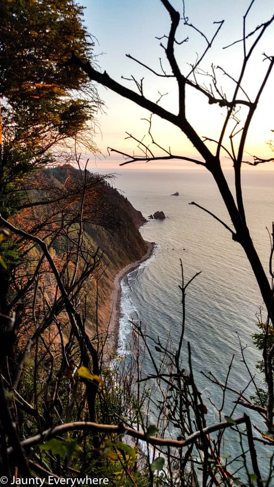 View from the Tillamook Head Trail
