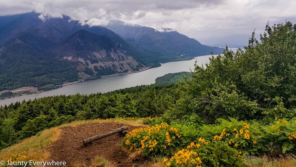 View of the Columbia River Gorge from Dog Mountain