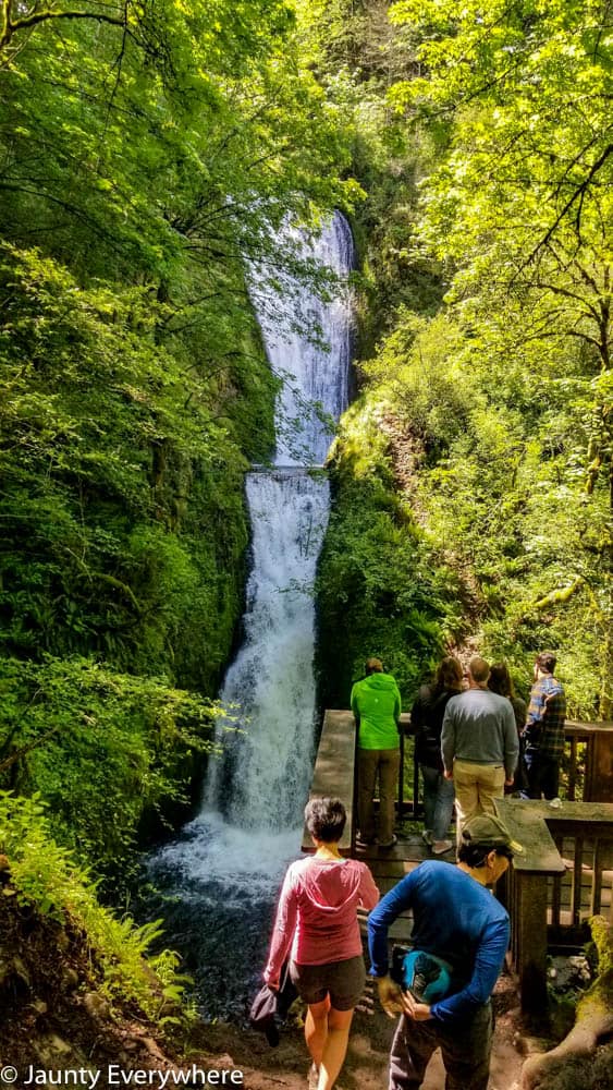 people looking at a waterfall 