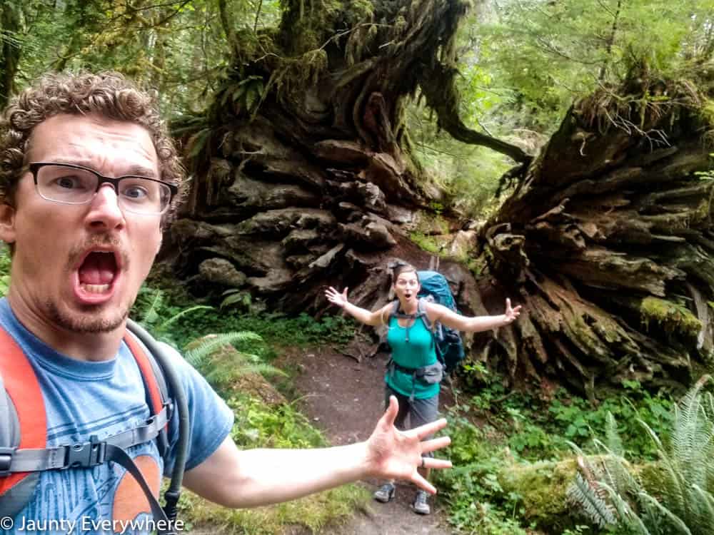 hikers making amazed faces about massive uprooted trees on the trail 