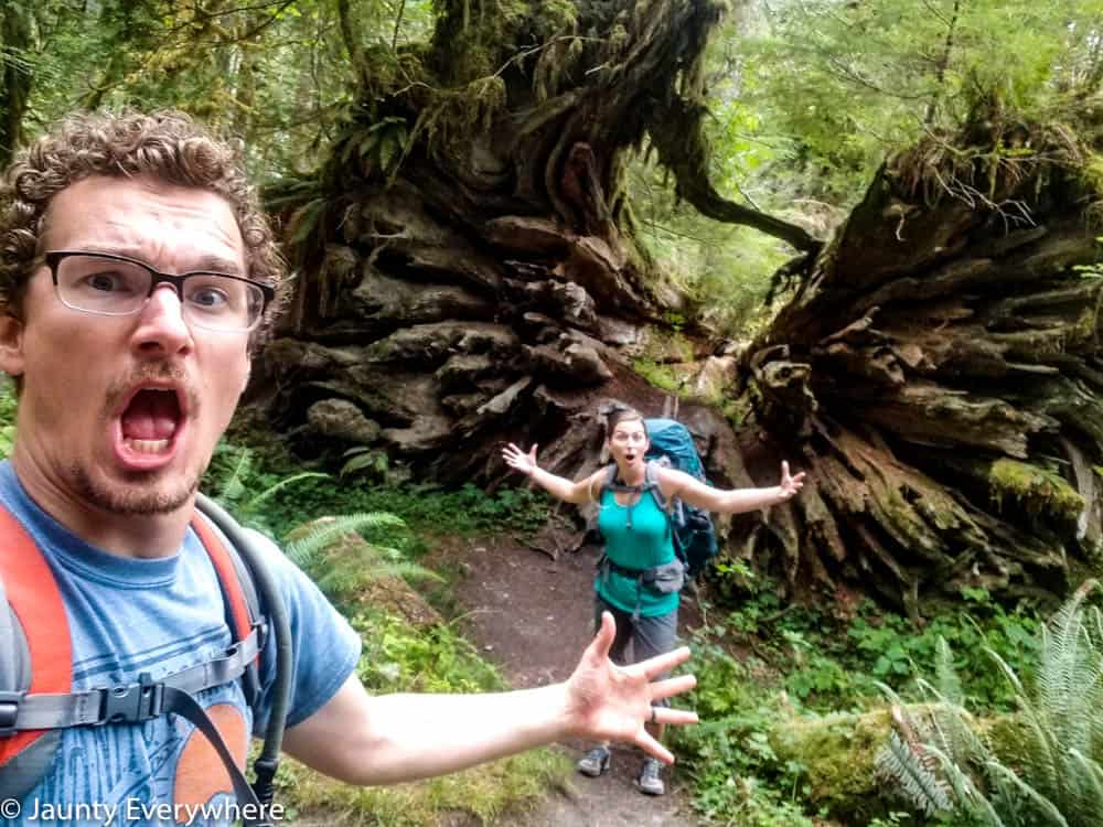 hikers making amazed faces about massive uprooted trees on the trail