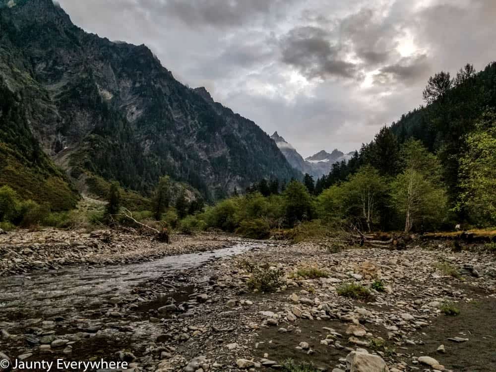 early morning on the bank of a river in Olympic National Park