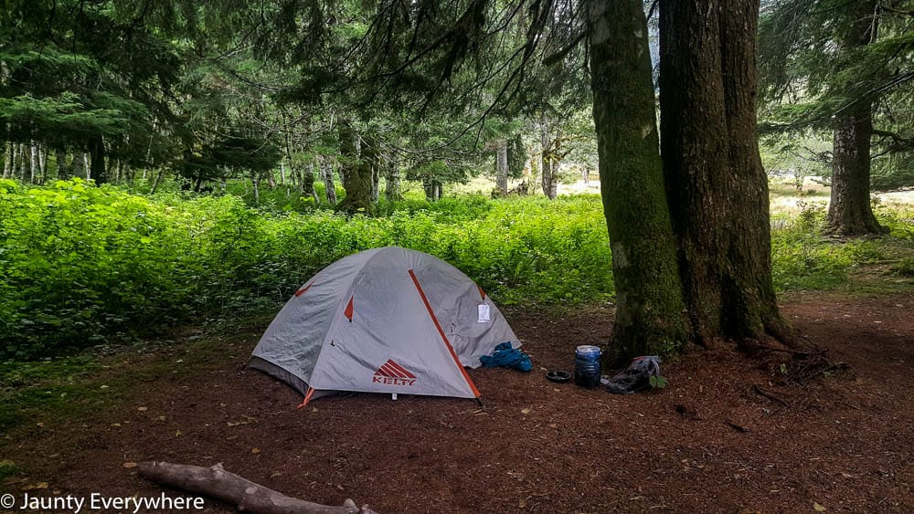 campsite in the woods