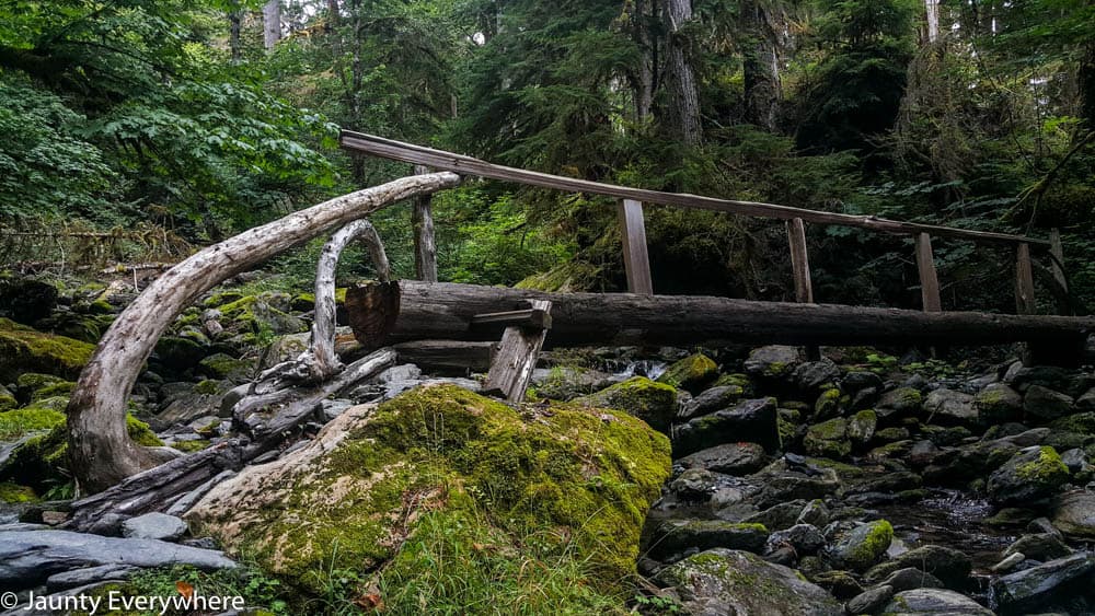 log bridge across a stream in Olympia National Park