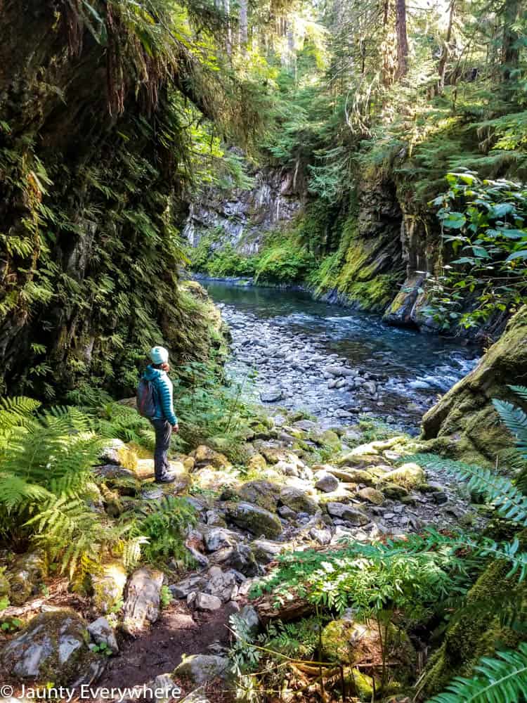 woman standing next on a river bank in a verdant green forest