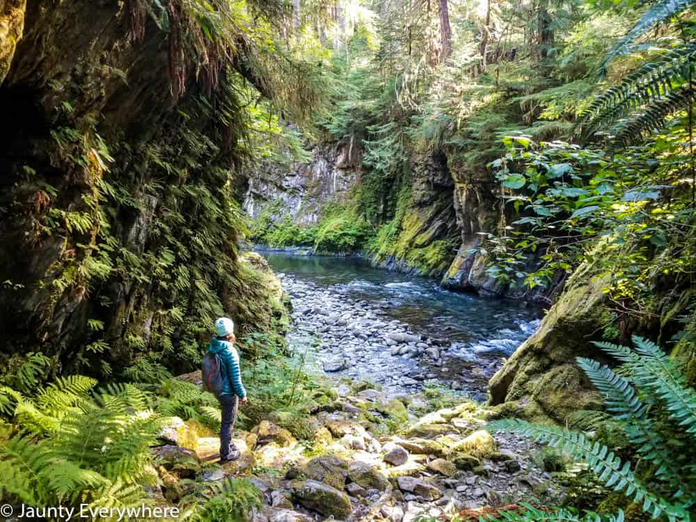 Lush river gorge. Backpacking tips for beginners. Brittany Stanton standing by a river with rocks and green shrubs around her