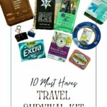 Pinterest pin about a 10 item survival kit for travel