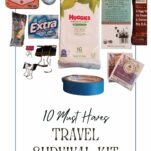 Pinterest pin about a 10 item survival kit for travel