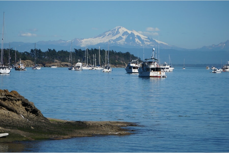 Harbor in the Pacific Northwest, sailboats in the distance
