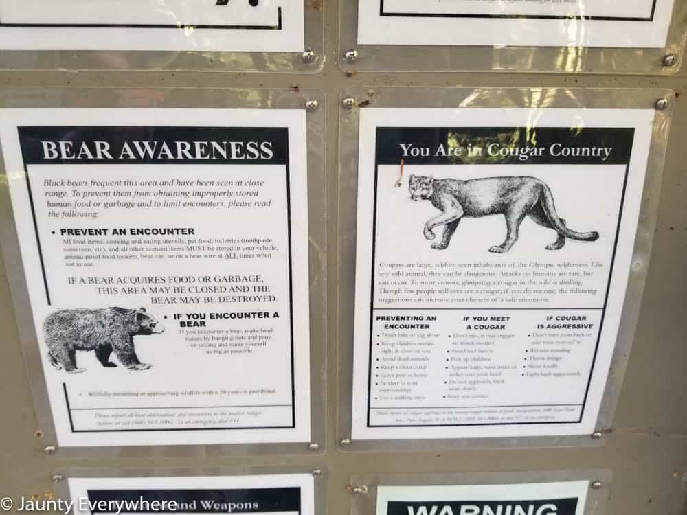 Bear and Cougar country warning signs.