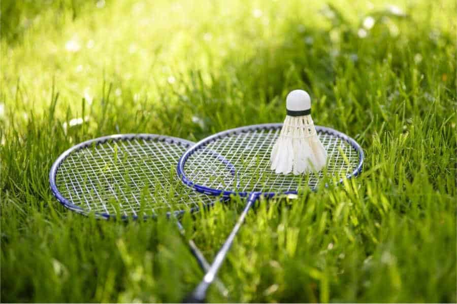 two badminton raquets in the grass with a birdie on top