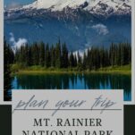 Pinterest pin highlighting how to plan a trip to Mt. Rainier National park