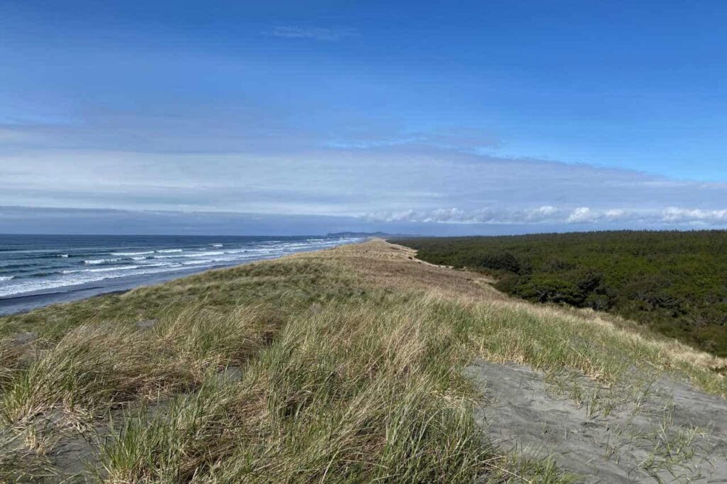 beach dune covered with grass, surf in the distance at Fort Stevens State Park, Oregon