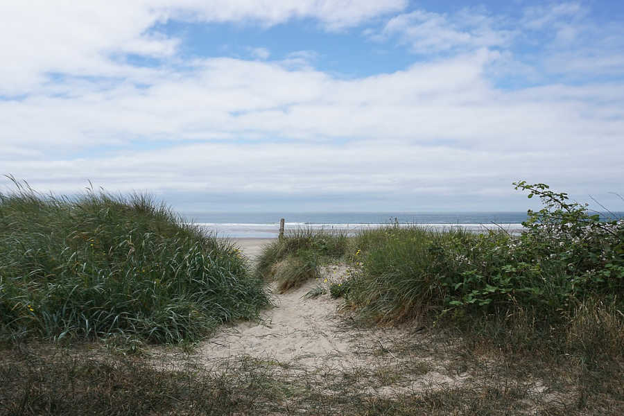 path leading to the Pacific Ocean through a sand dune