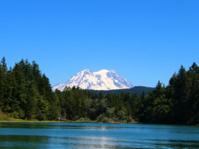 clear blue skies with Mt Rainier peaking out of the trees