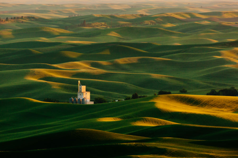 the Palouse in Eastern Washington