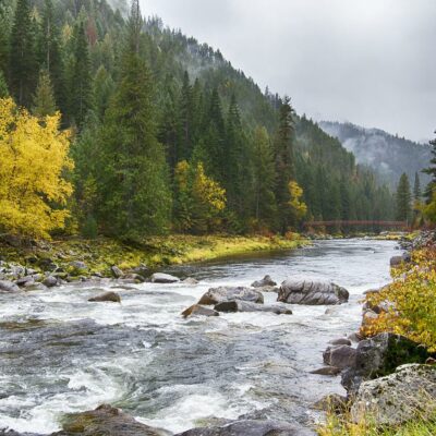 fall colors on a river in Idaho