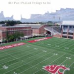 WSU campus stadium from above - Pullman, WA