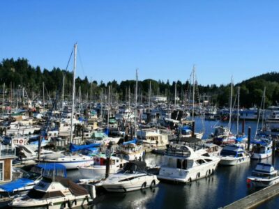 the marina at Gibsons BC, filled with boats