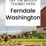 Pinterest pin about travel to Ferndale, WA