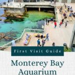 Pinterest pin on travel to Monterey Bay Aquarium
