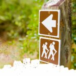 a post with hiking direction signs against a green, leafy background