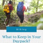 2 women hiking on a tree lined trail with daypacks and walking poles