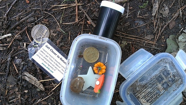 an open plastic storage container filled with little trinkets on a geocache hunt