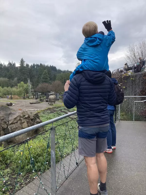 child riding on an adults shoulders at the zoo 