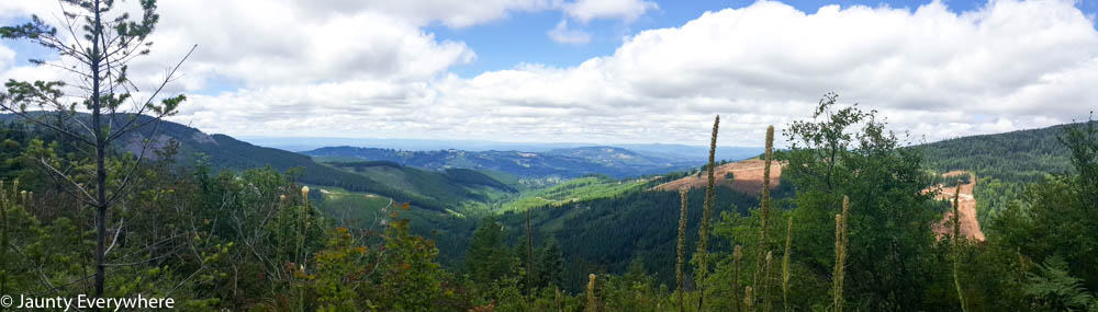 A panoramic view of the Pacific Northwest from Silver Star Mountain